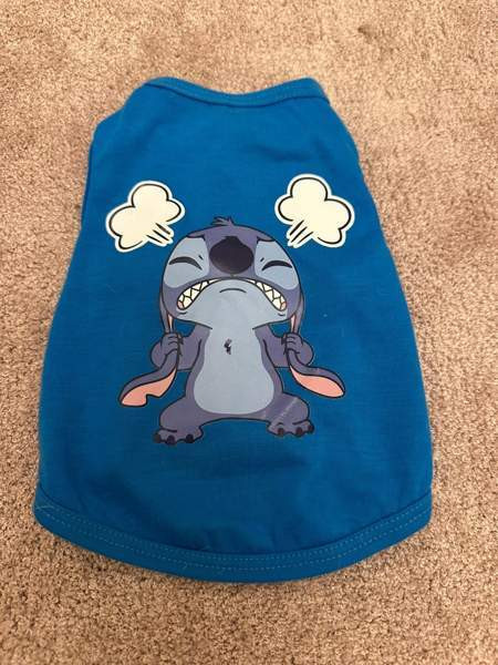 Koiran tai kissan asu Heinola – foto 3