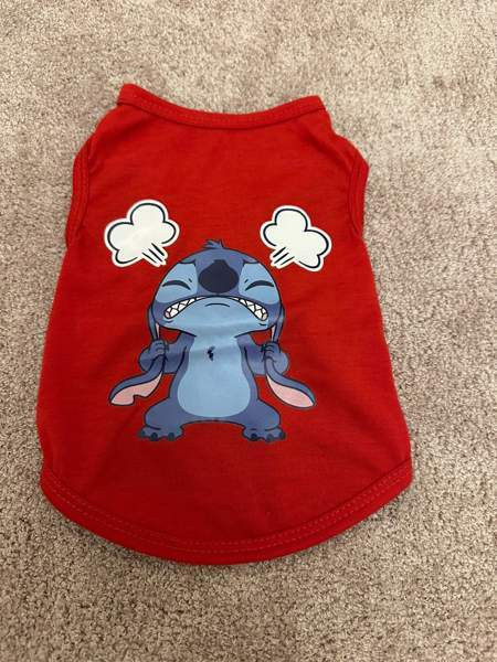 Koiran tai kissan asu Heinola – foto 1