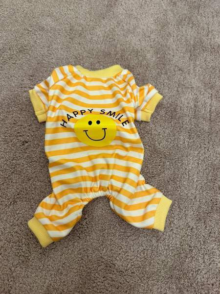 Koiran tai kissan asu Heinola – foto 1