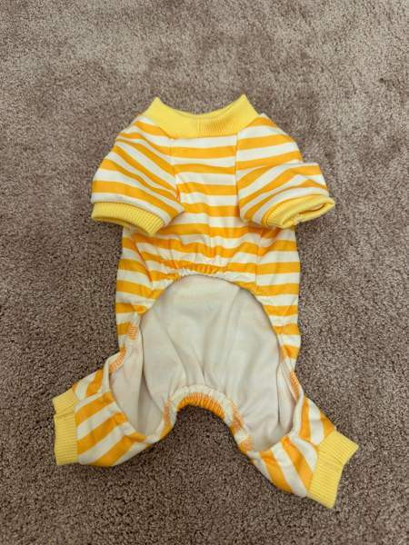 Koiran tai kissan asu Heinola – foto 2