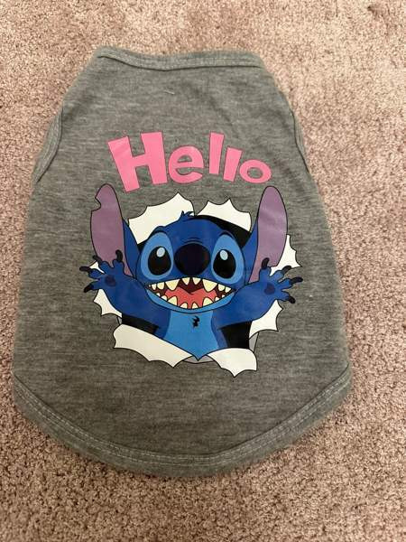 Koiran tai kissan asu Хейнола - изображение 1