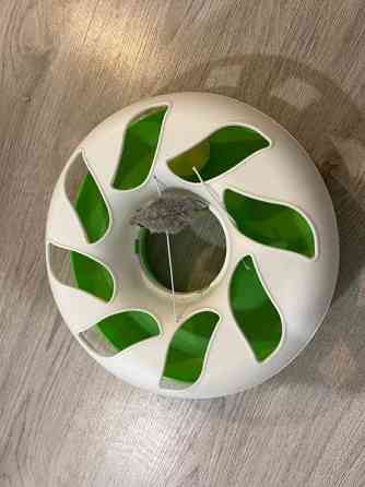 Kissanlelu. Cat crazy circle Helsinki