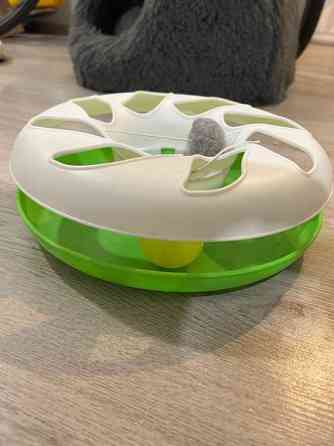 Kissanlelu. Cat crazy circle Helsinki