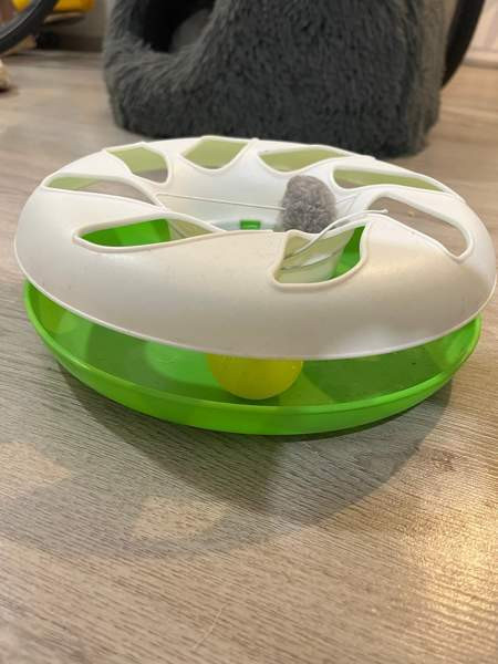 Kissanlelu. Cat crazy circle Helsinki - valokuva 2