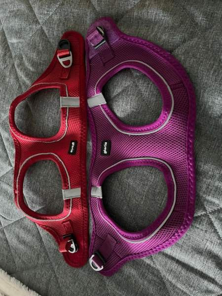 Ihanat pienen koiran valjaat Tampere – foto 1