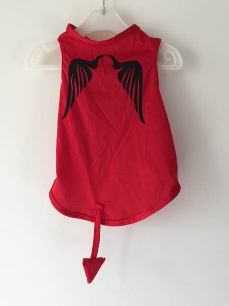 Pienelle koiralle, puku Хювинкяя - изображение 1