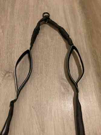 Koiran remmin jakaja Rovaniemi