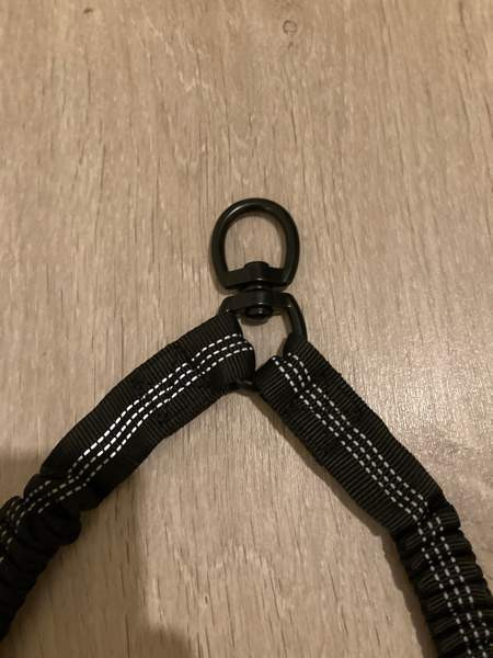 Koiran remmin jakaja Rovaniemi - photo 4