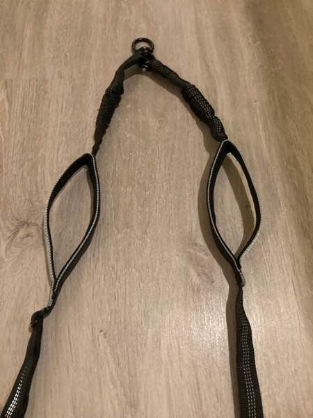 Koiran remmin jakaja Rovaniemi - photo 2