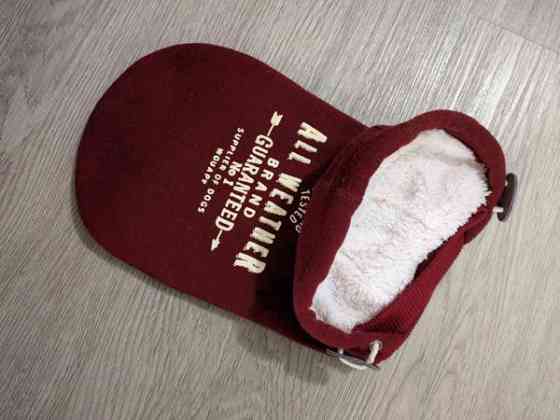 Pienen koiran collegehuppari Hyvinge