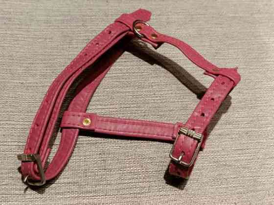 Nahkaiset kissanvaljaat Eura