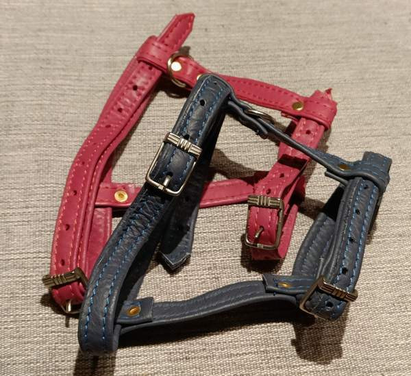 Nahkaiset kissanvaljaat Eura – foto 1