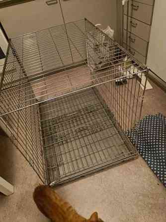 Häkki autoon tai näyttelyihin Joensuu