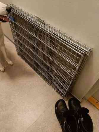 Häkki autoon tai näyttelyihin Joensuu