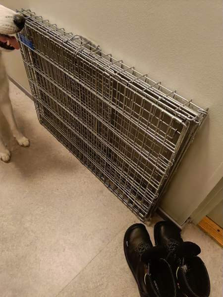 Häkki autoon tai näyttelyihin Joensuu – foto 2