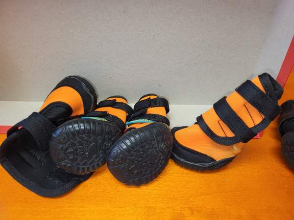 Koiran tossut/ kengät koko xs( 4-5cm ) Turku - valokuva 3