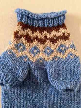 Pienen koiran neule Kuopio