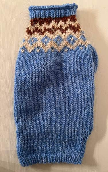 Pienen koiran neule Kuopio – foto 2