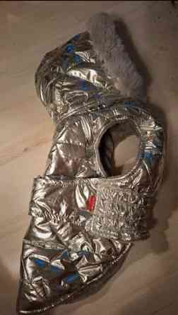 For my dogs koko 18 Helsinki