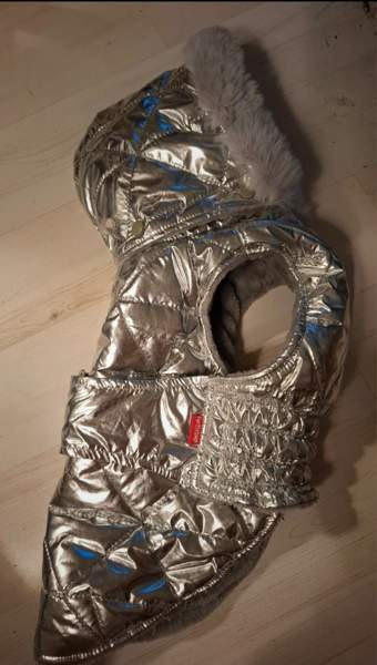 For my dogs koko 18 Helsinki - изображение 1