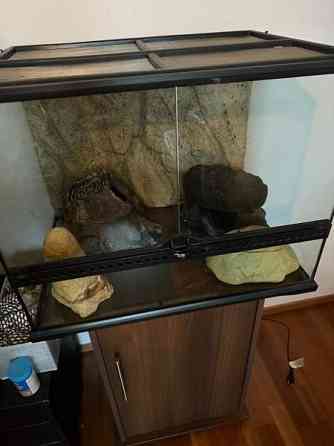 Terraario 45x45x60. Joensuu