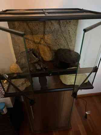 Terraario 45x45x60. Joensuu