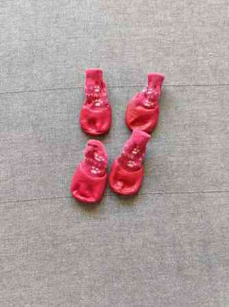 Koiran kengät Helsinki