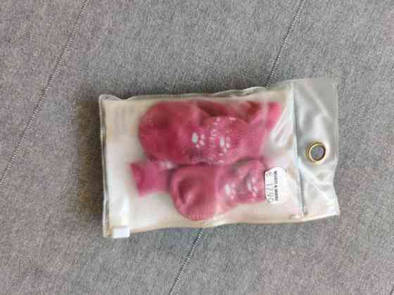 Koiran kengät Helsinki