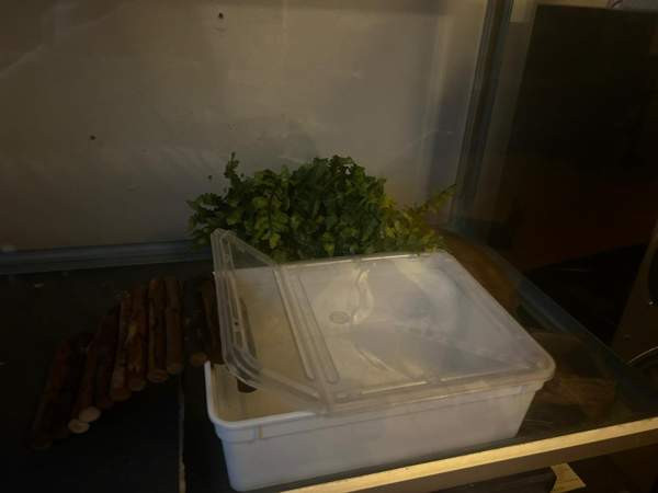 Terraario Vantaa - photo 2