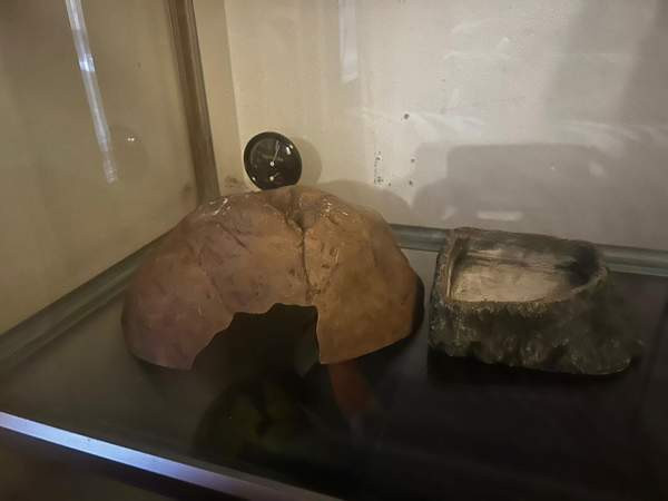 Terraario Vantaa - photo 3