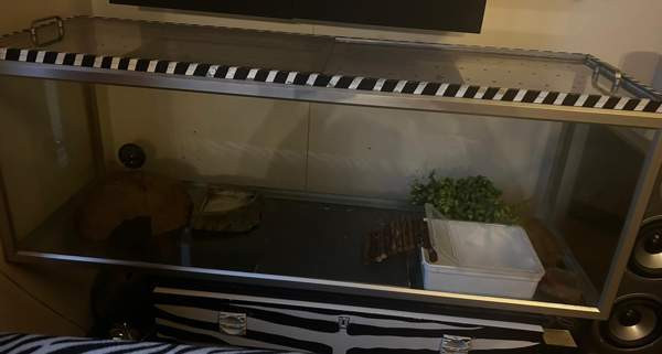 Terraario Vantaa - photo 1