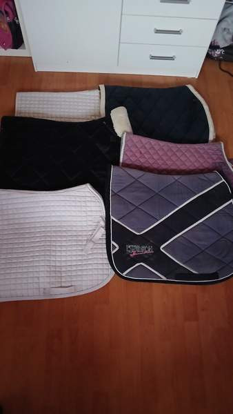 Paljon hevostavaraa Ristijärvi - изображение 2