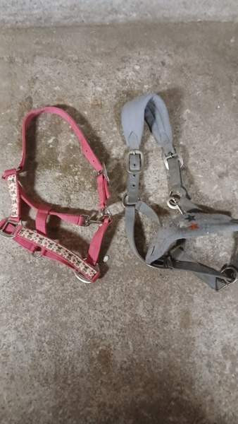 Paljon hevostavaraa Ristijärvi - изображение 3