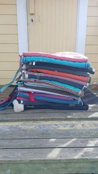 Paljon hevostavaraa Ristijärvi - изображение 1