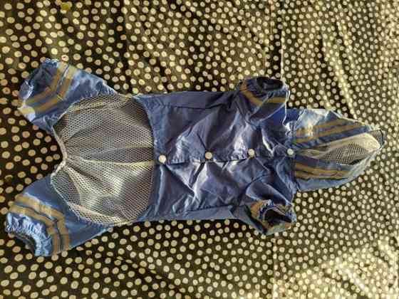 Sadetakki pienelle koiralle Вантаа