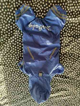 Sadetakki pienelle koiralle Вантаа