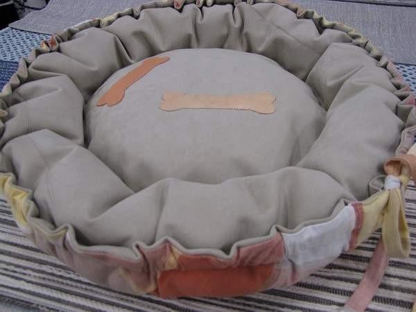 Koiranpeti vaalea Lahti - valokuva 1