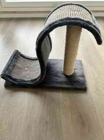 Pieni raapimispuu Nousiainen