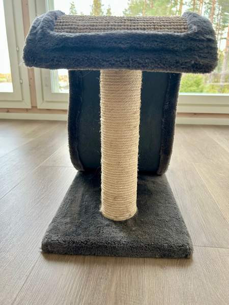 Pieni raapimispuu Nousiainen - valokuva 3