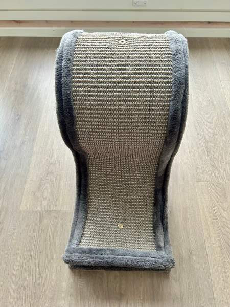 Pieni raapimispuu Nousiainen - valokuva 2