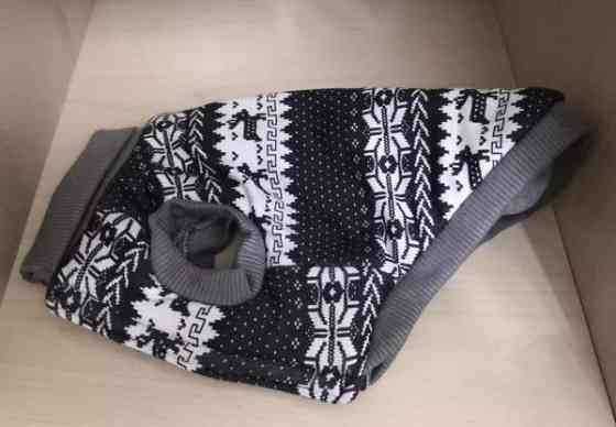 Pienen koiran takki Heinola