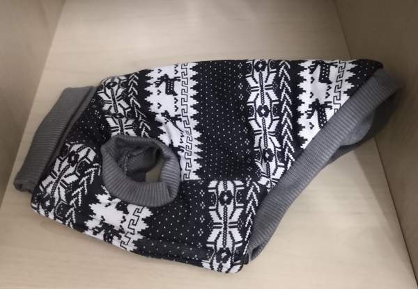 Pienen koiran takki Heinola - valokuva 1