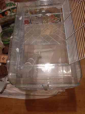 Kääpiöhamsteri tarvikkeet ja ruokaa Lahti