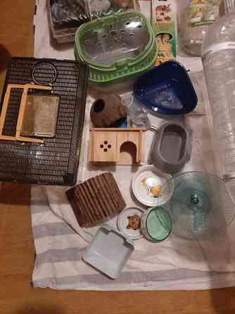 Kääpiöhamsteri tarvikkeet ja ruokaa Lahti