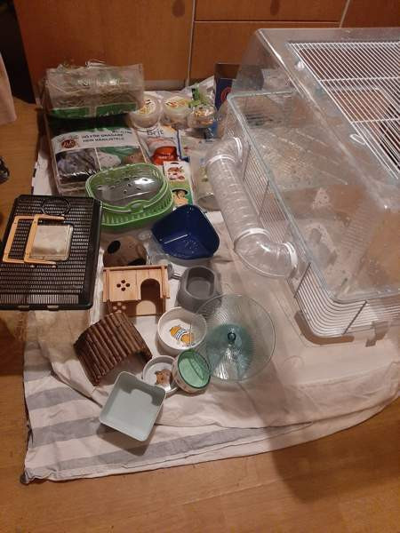Kääpiöhamsteri tarvikkeet ja ruokaa Лахти - изображение 1