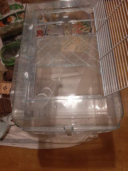 Kääpiöhamsteri tarvikkeet ja ruokaa Лахти - изображение 5