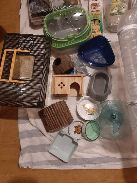 Kääpiöhamsteri tarvikkeet ja ruokaa Лахти - изображение 2