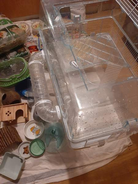 Kääpiöhamsteri tarvikkeet ja ruokaa Лахти - изображение 4