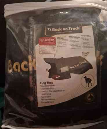 Back on Track 40 koirantoppaloimi Helsinki