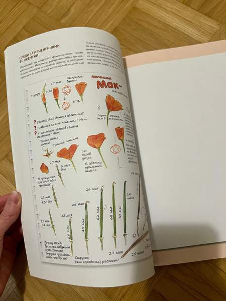 piirustusopas lehti / venäjänkielinen Espoo – foto 3